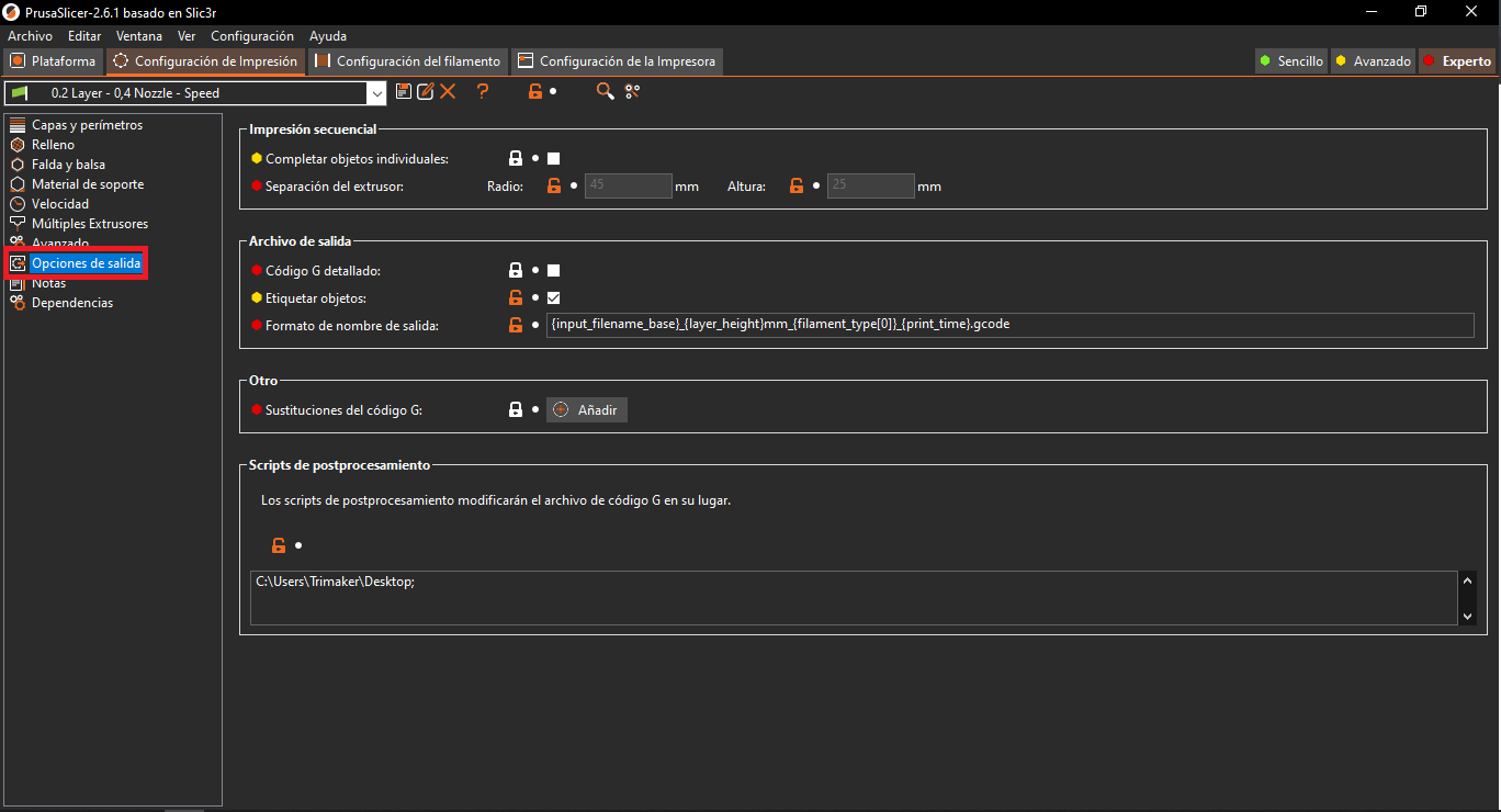 opciones de salida.PNG